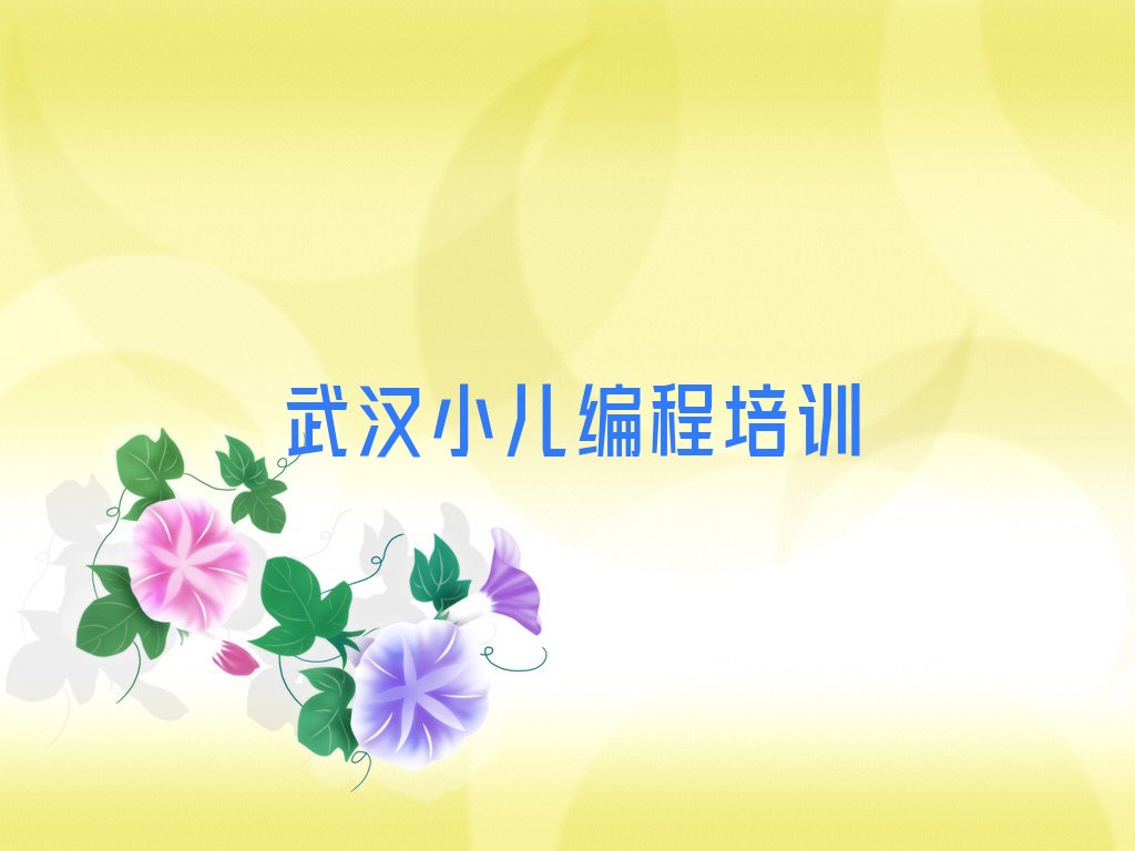 十大武汉小儿编程培训学费一般多少钱十大排名一览排行榜排行榜