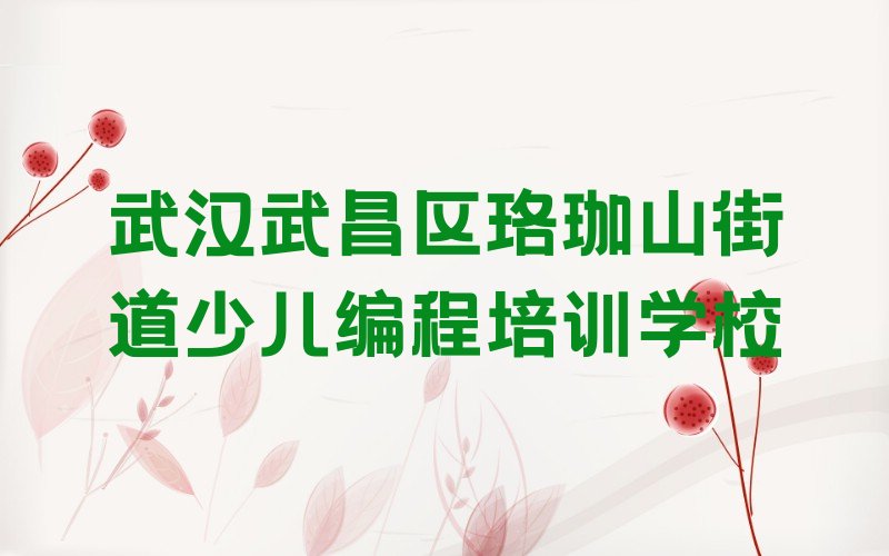 武汉武昌区珞珈山街道少儿编程培训学校