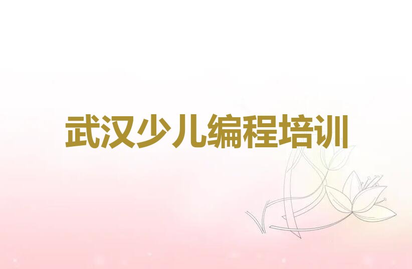 武汉武昌区珞珈山街道少儿编程培训学校