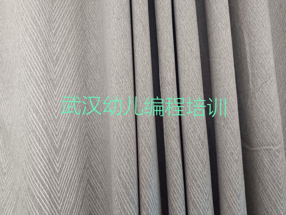 武汉汉阳区幼儿编程培训学校