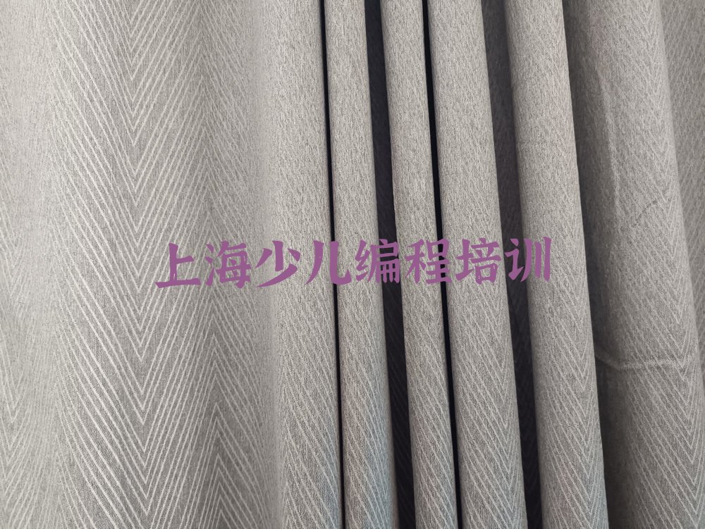 上海徐汇区华泾镇少儿编程培训学校