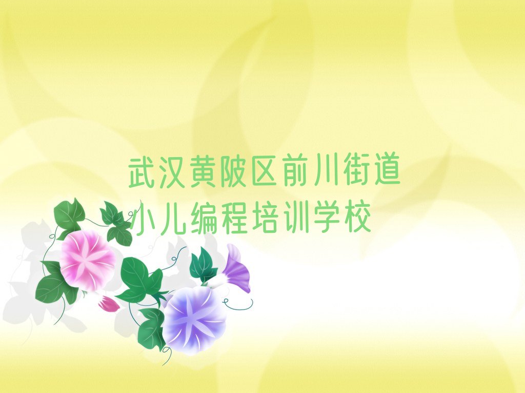 小儿编程