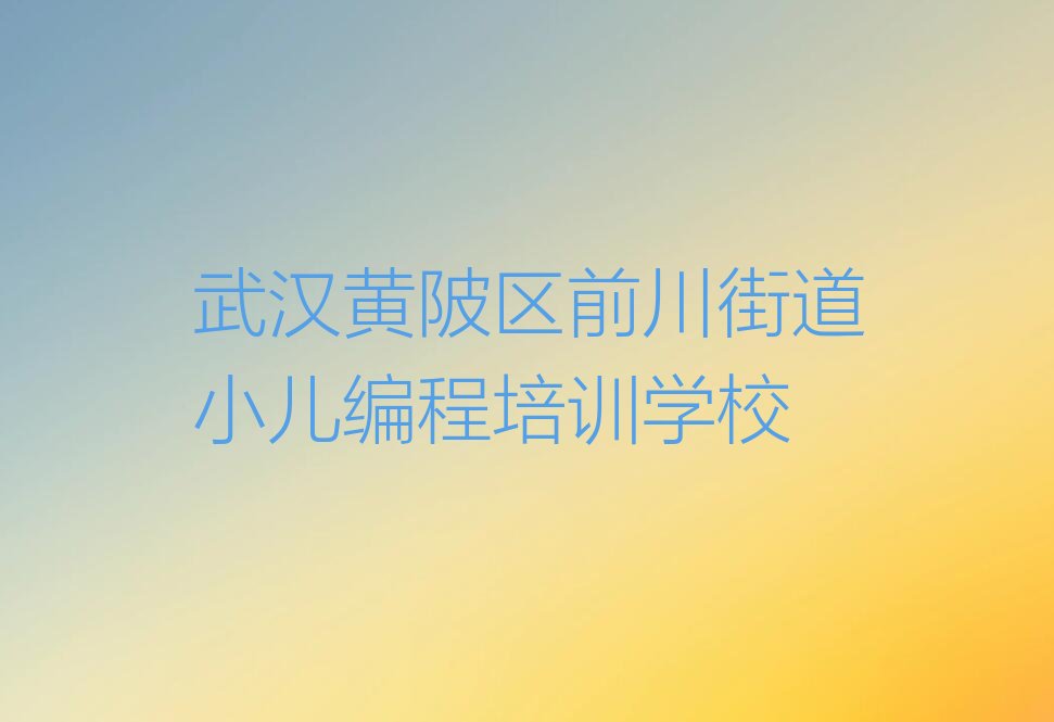 武汉黄陂区前川街道小儿编程培训学校