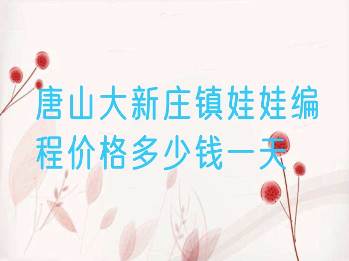唐山少儿编程培训
