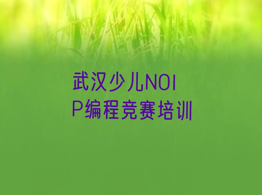 十大武汉市学少儿NOIP编程竞赛的学校榜单新排名一览推荐排行榜