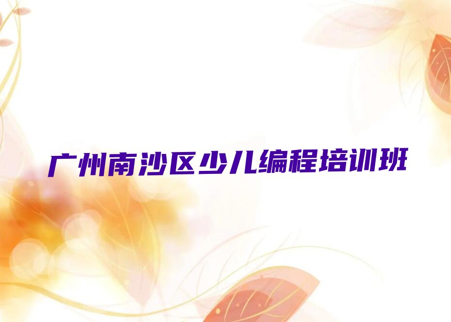 广州南沙区少儿编程培训班