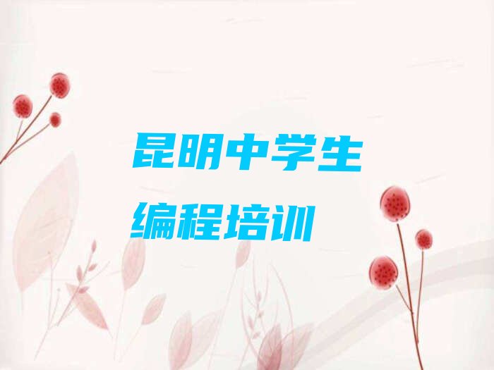 十大昆明市学中学生编程的地方排行榜
