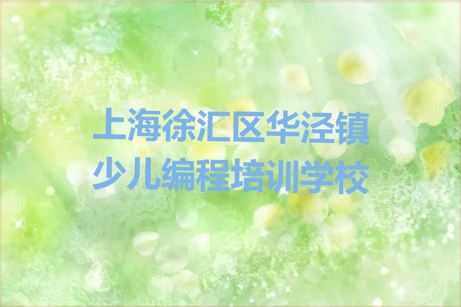 上海徐汇区华泾镇少儿编程培训学校