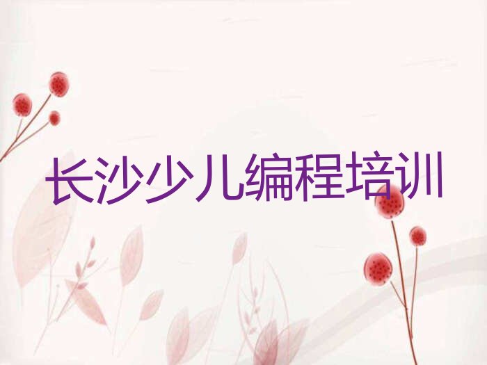 长沙少儿AI机器人编程培训学校