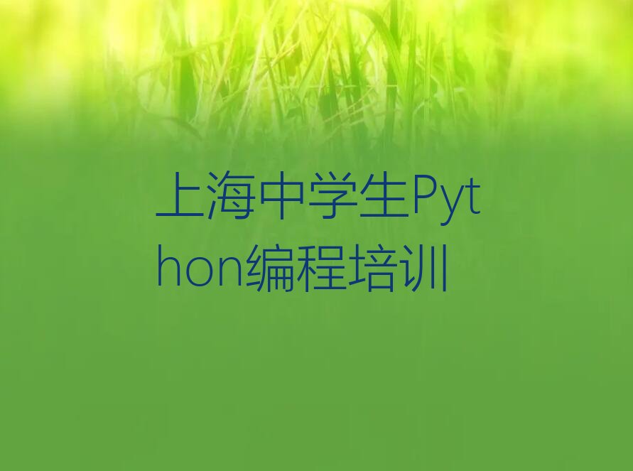 上海普陀区真如镇街道少儿编程培训学校