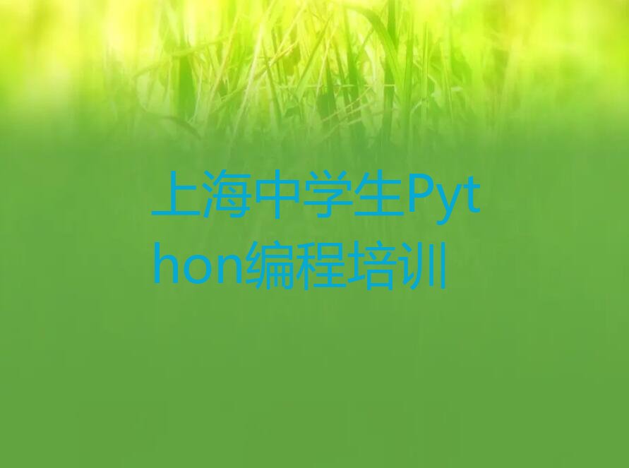 中学生Python编程