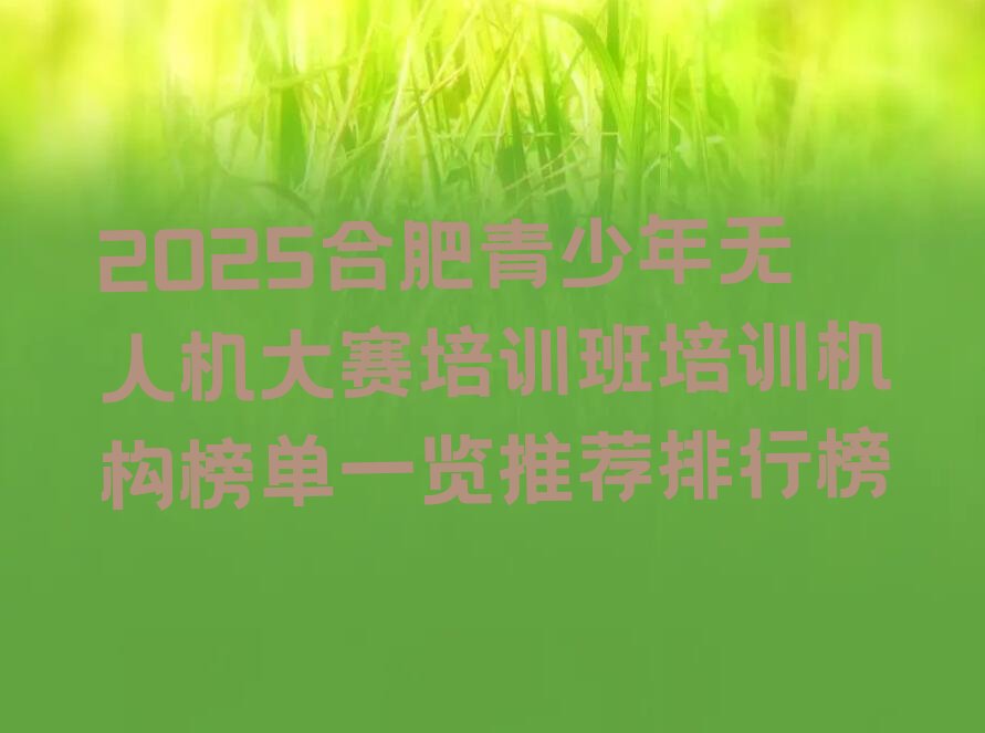 合肥青少年无人机大赛培训学校