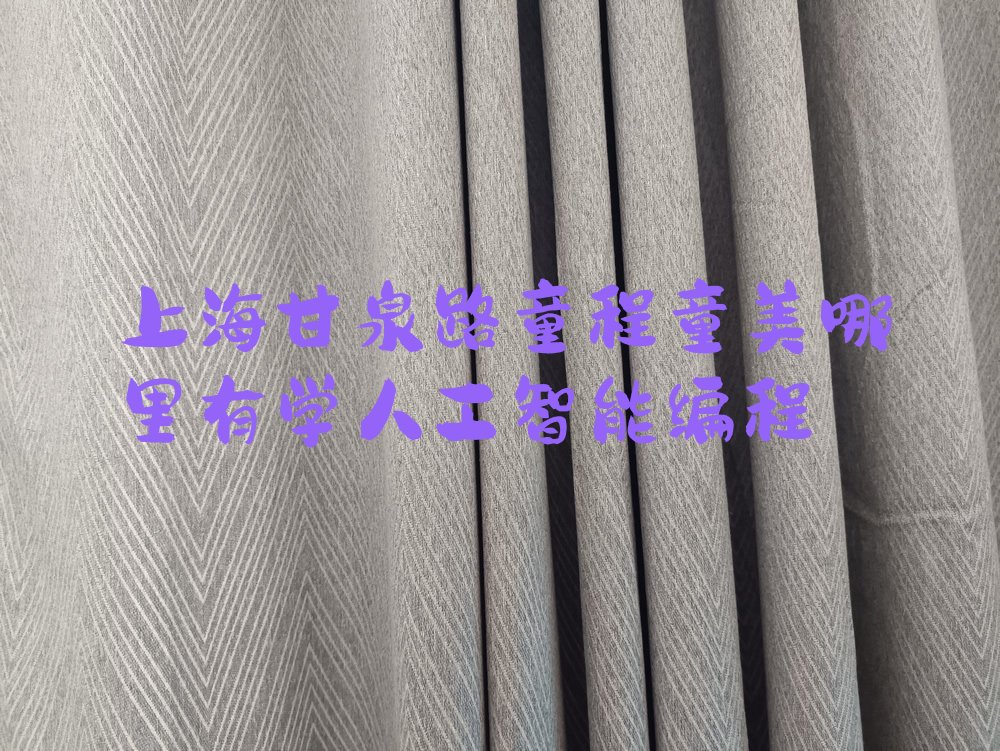 十大上海甘泉路童程童美哪里有学人工智能编程排行榜