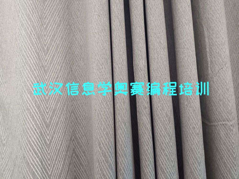 武汉青山区少儿编程培训学校