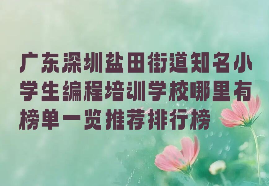 深圳盐田区少儿编程培训班