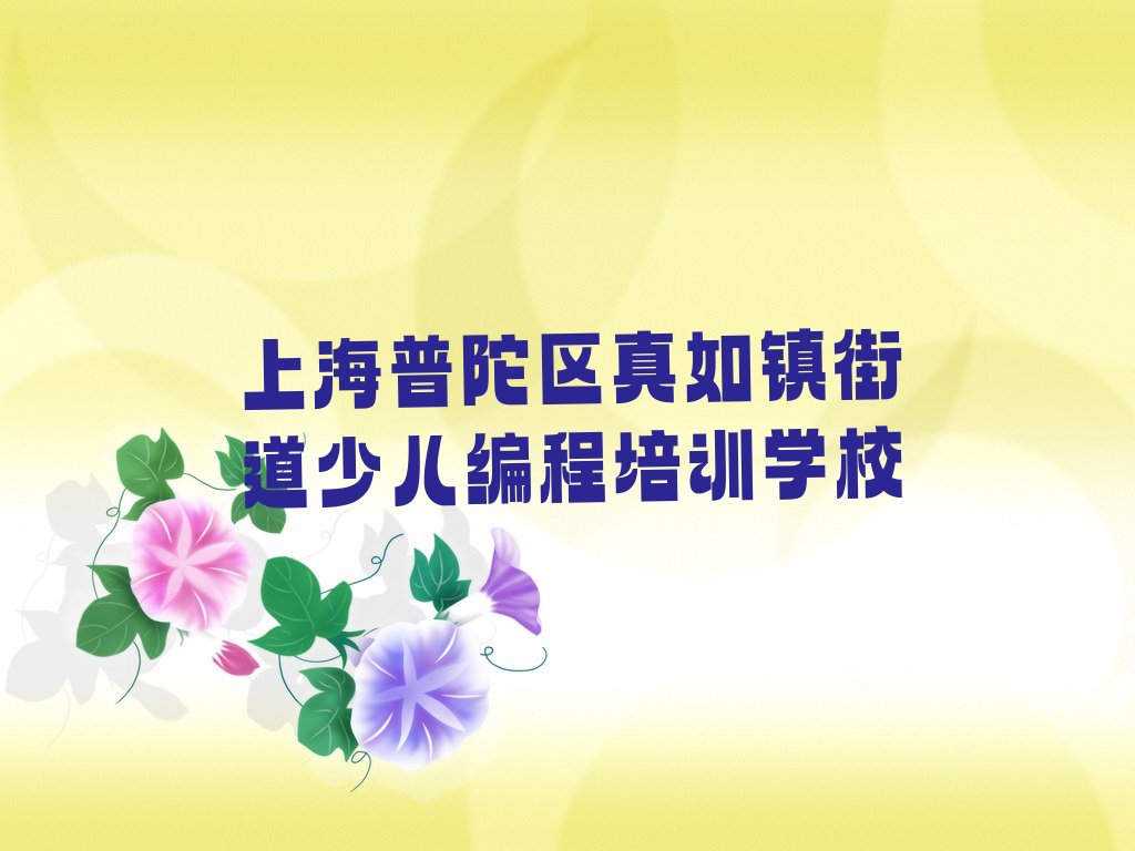 上海普陀区真如镇街道少儿编程培训学校