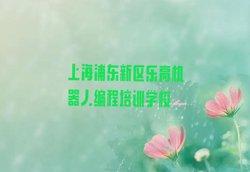 上海浦东新区乐高机器人编程培训学校