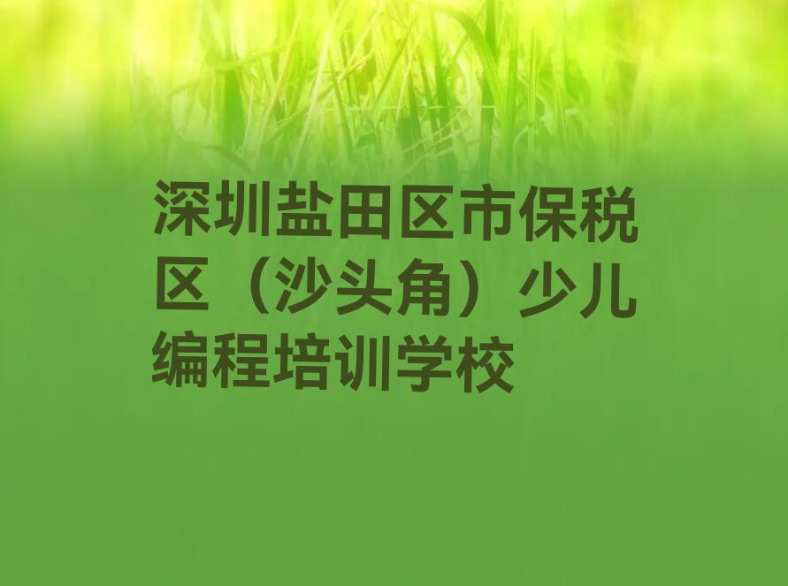 深圳盐田区市保税区（沙头角）少儿编程培训学校