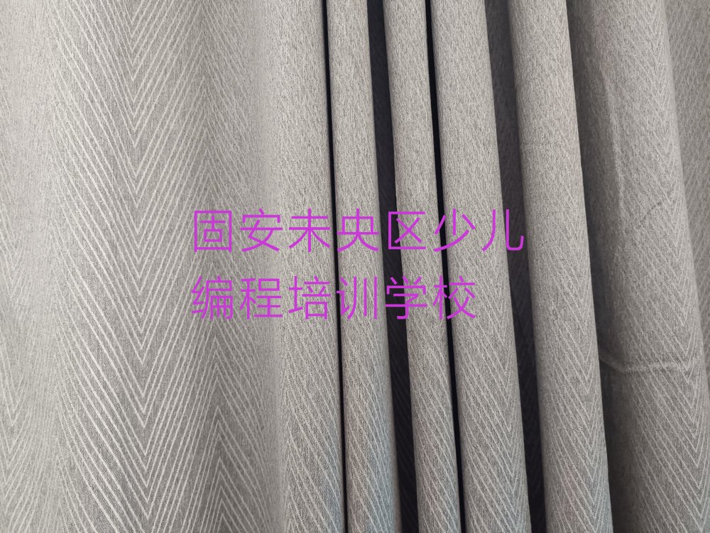 固安未央区少儿编程培训学校