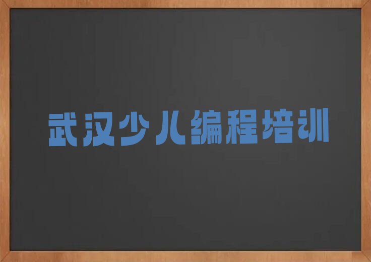 武汉江岸区少儿编程培训中心