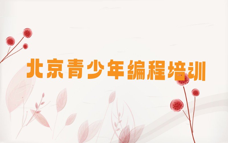 北京西城区少儿编程培训