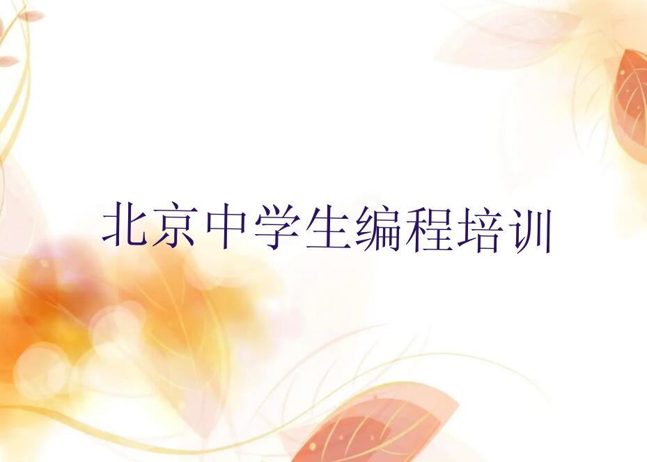 北京少儿编程培训班