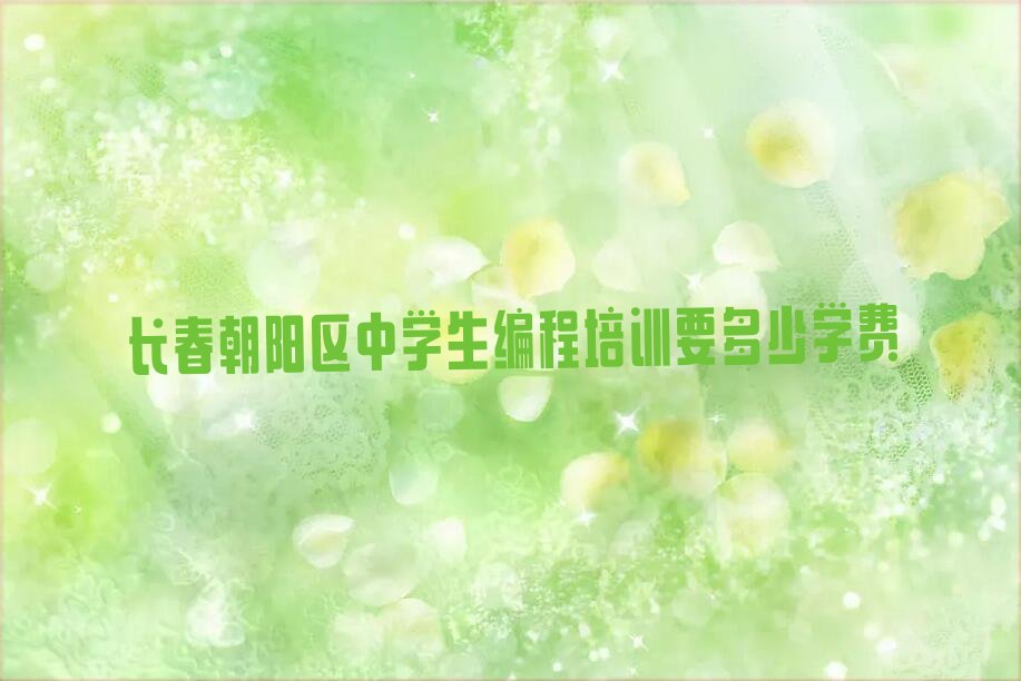 长春朝阳区少儿编程培训班