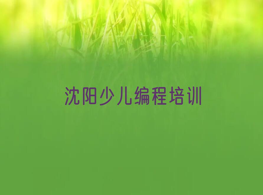 沈阳少儿编程培训学校
