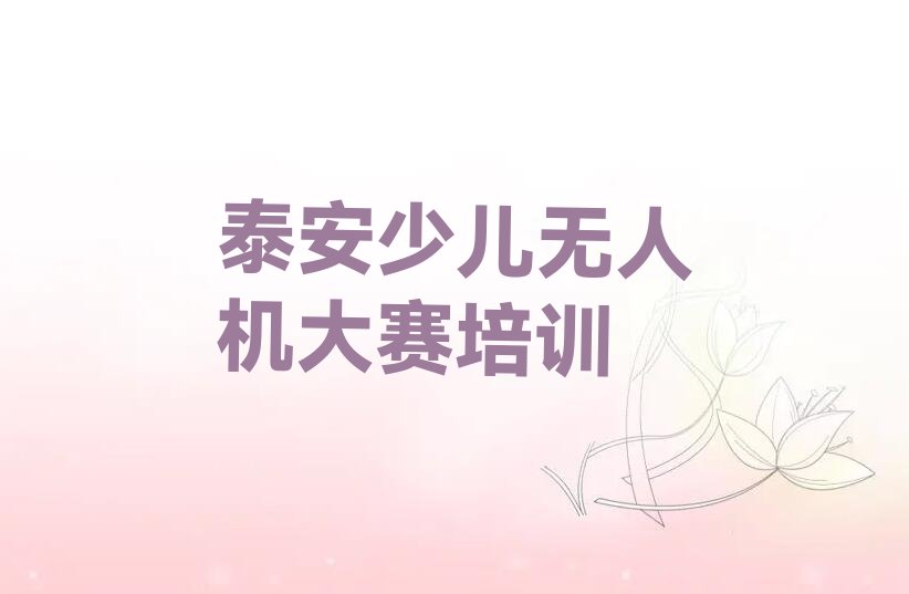 泰安泰山区岱庙街道少儿无人机大赛培训学校