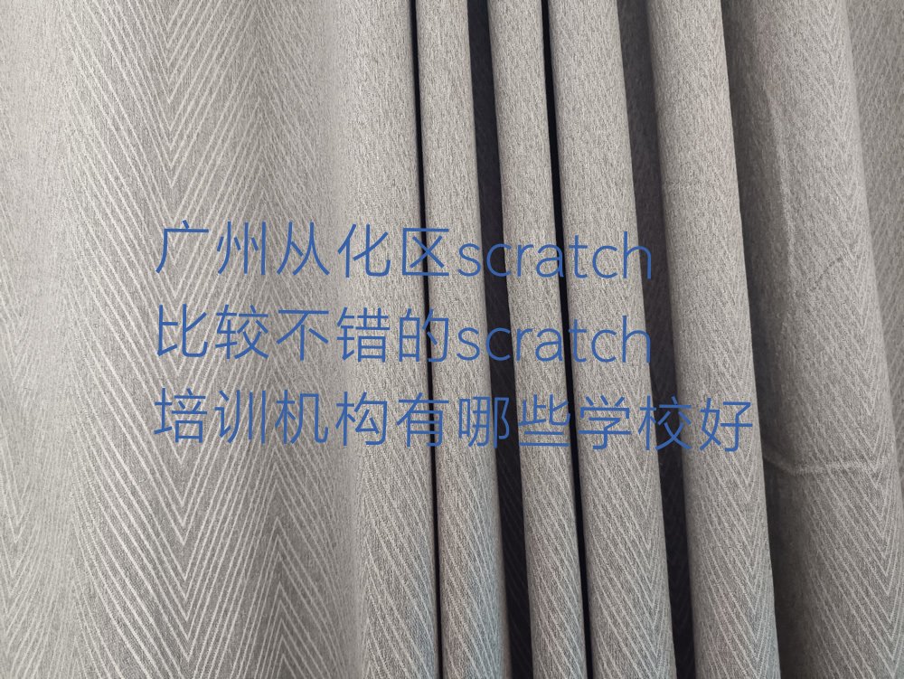 广州从化区少儿编程培训班