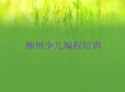 柳州城中区机器人编程培训辅导班哪个机构的好呢推荐排名名单一览表