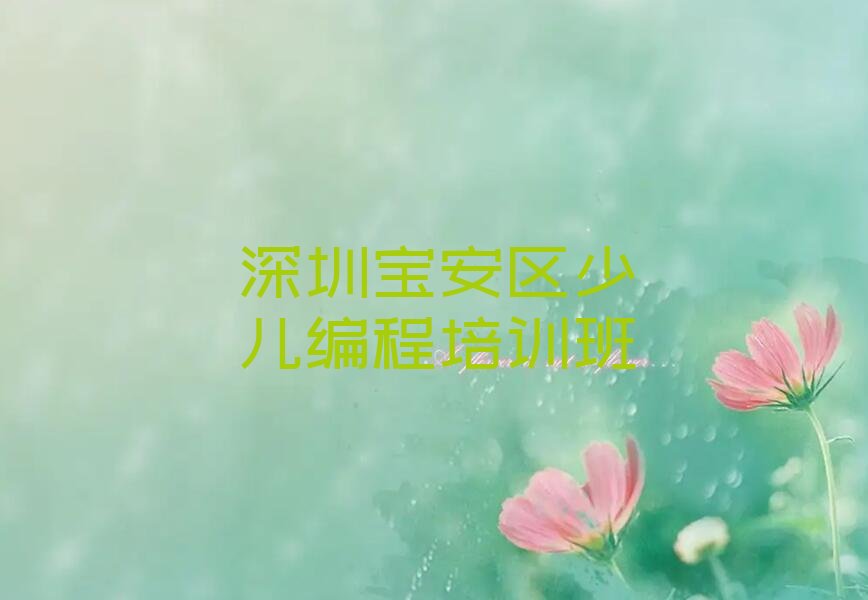 深圳宝安区少儿编程培训班