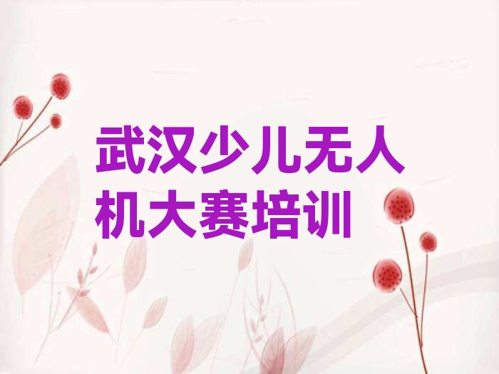 武汉少儿编程培训中心