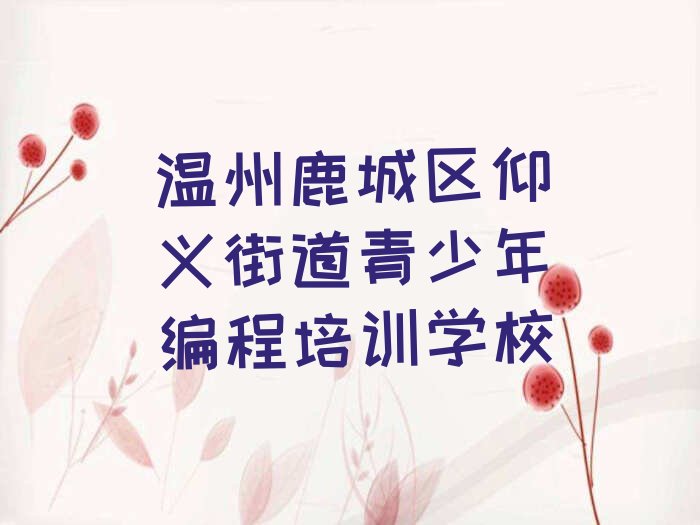 十大温州青少年编程封闭班实力前十排行榜排行榜