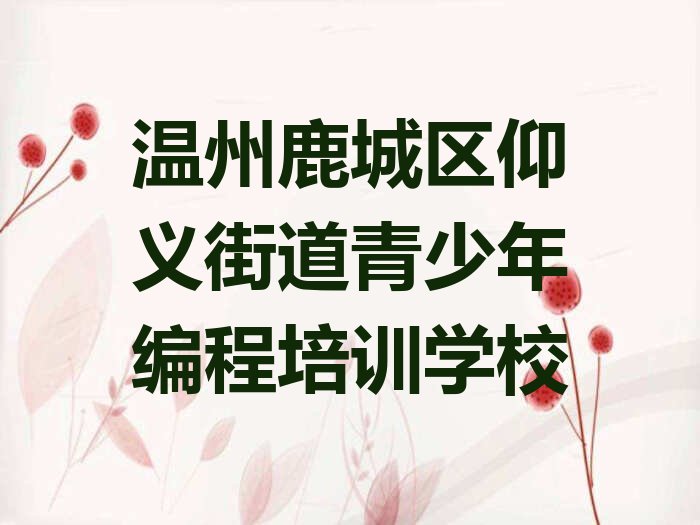 温州鹿城区仰义街道青少年编程培训学校