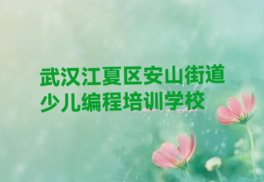 少儿编程