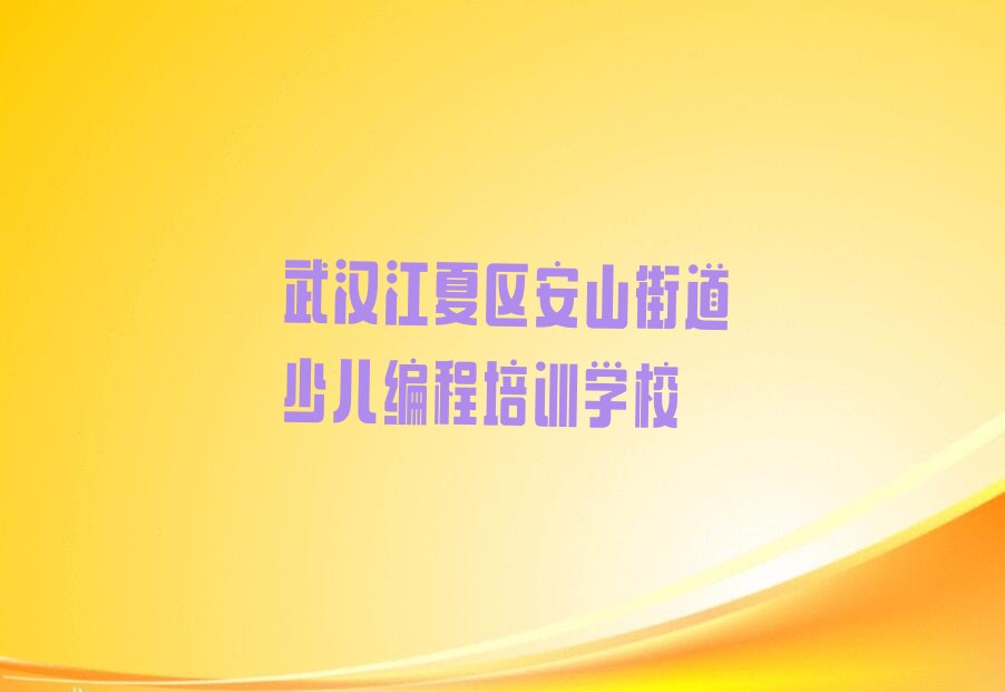 武汉江夏区安山街道少儿编程培训学校