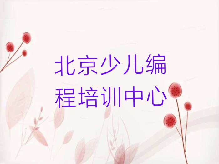 北京少儿编程培训中心