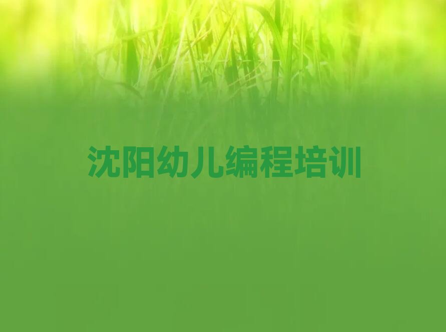 沈阳皇姑区少儿编程培训班