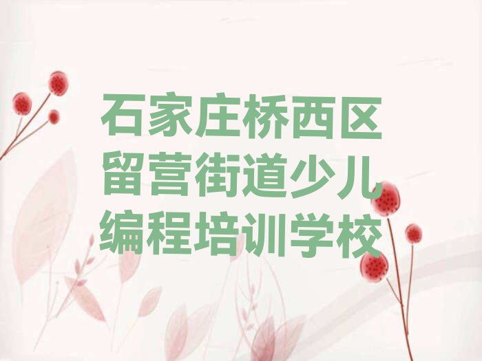 石家庄桥西区留营街道少儿编程培训学校