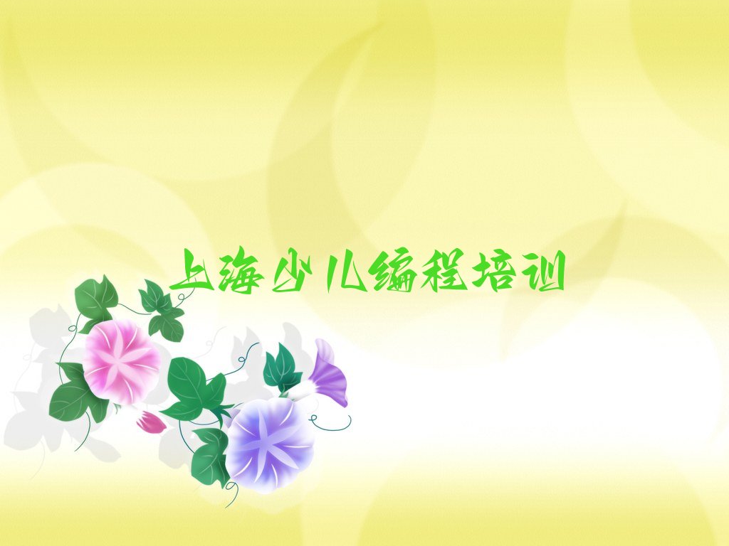 上海崇明区陈家镇小儿编程培训学校