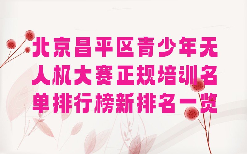 北京昌平区青少年无人机大赛培训学校