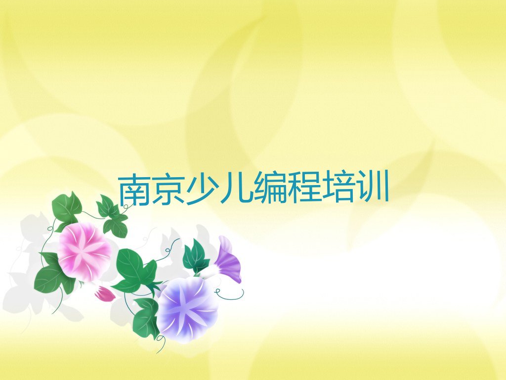 南京少儿编程培训中心