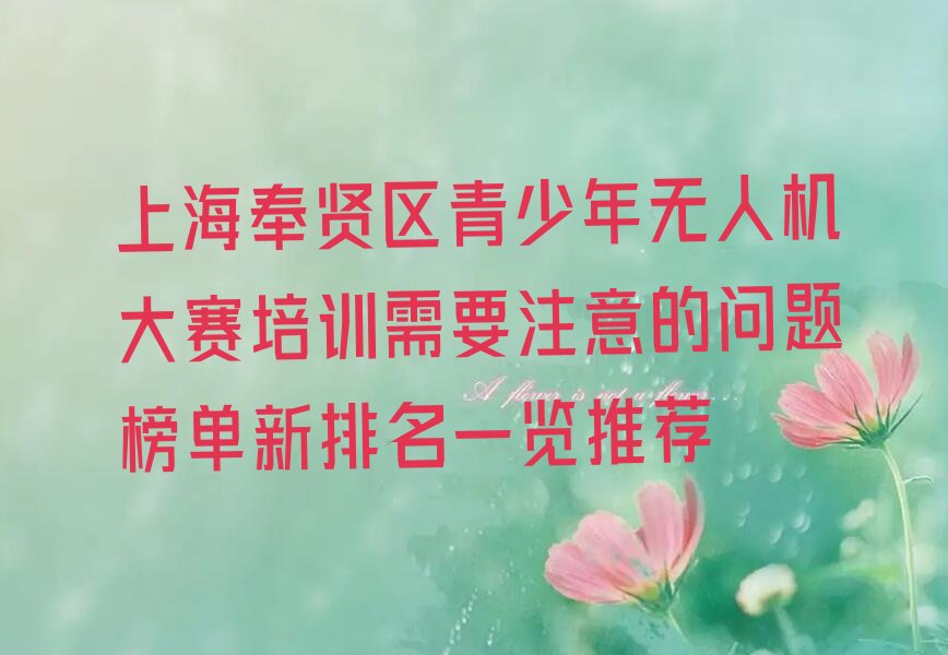 上海奉贤区少儿编程培训中心