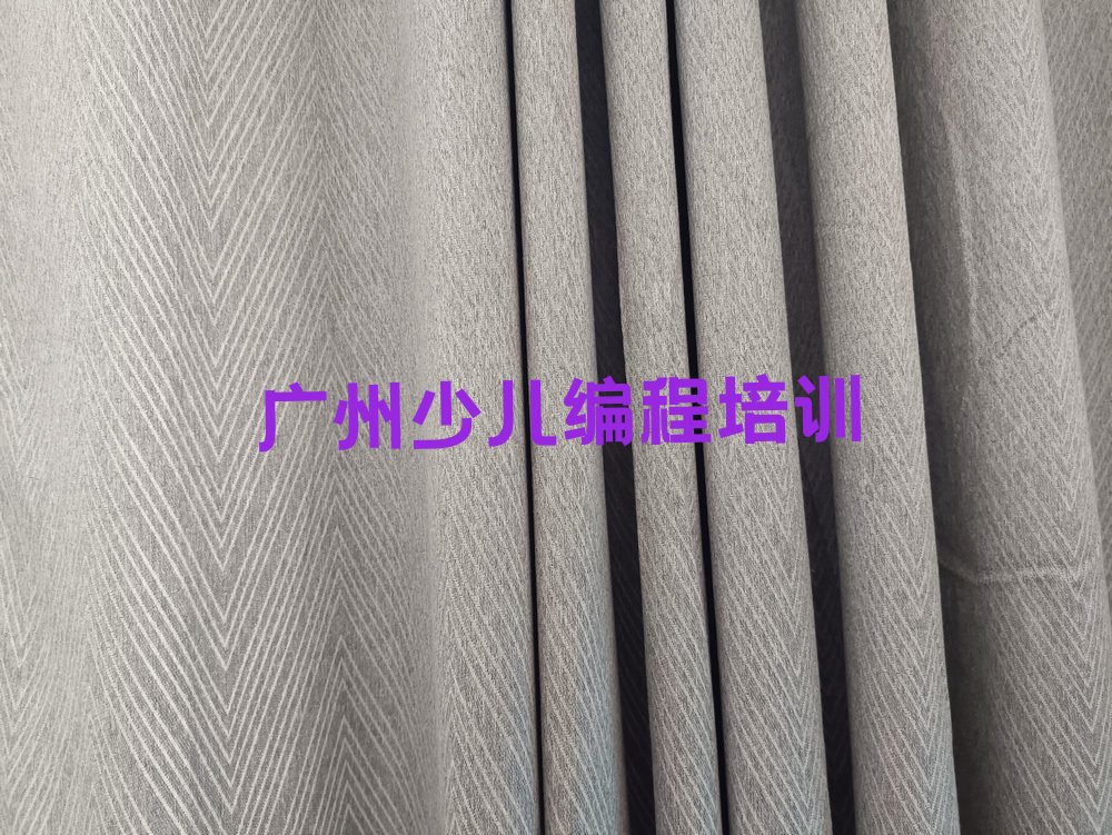 广州花都区少儿编程培训