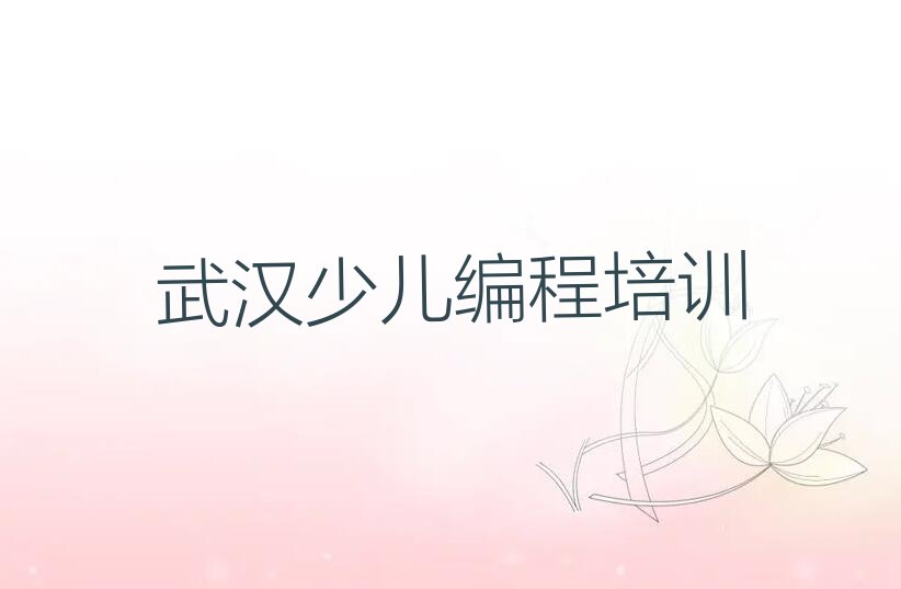 武汉少儿编程培训中心