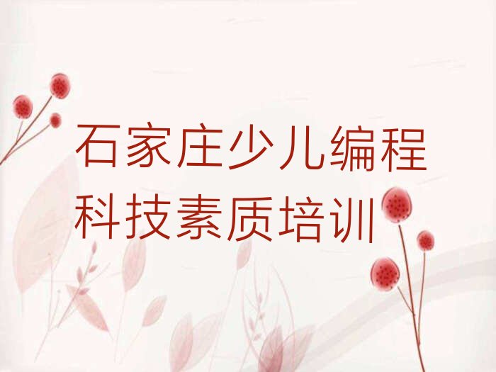 石家庄新华区少儿编程培训班