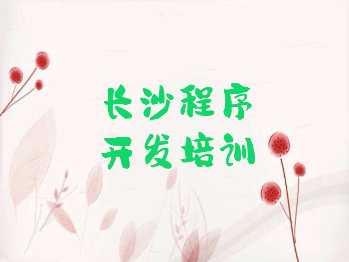 十大长沙望城区Python编程人工智能培训班好吗排行榜