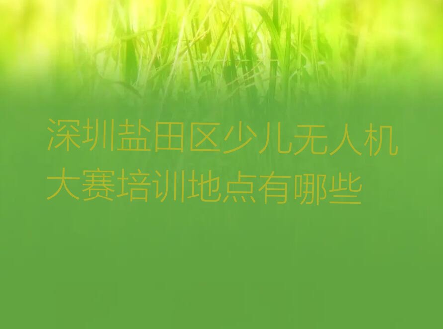深圳盐田区盐田街道少儿无人机大赛培训学校