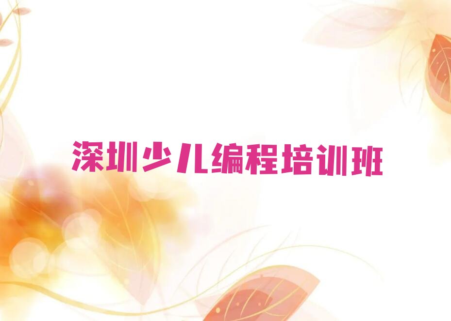 深圳少儿编程培训班
